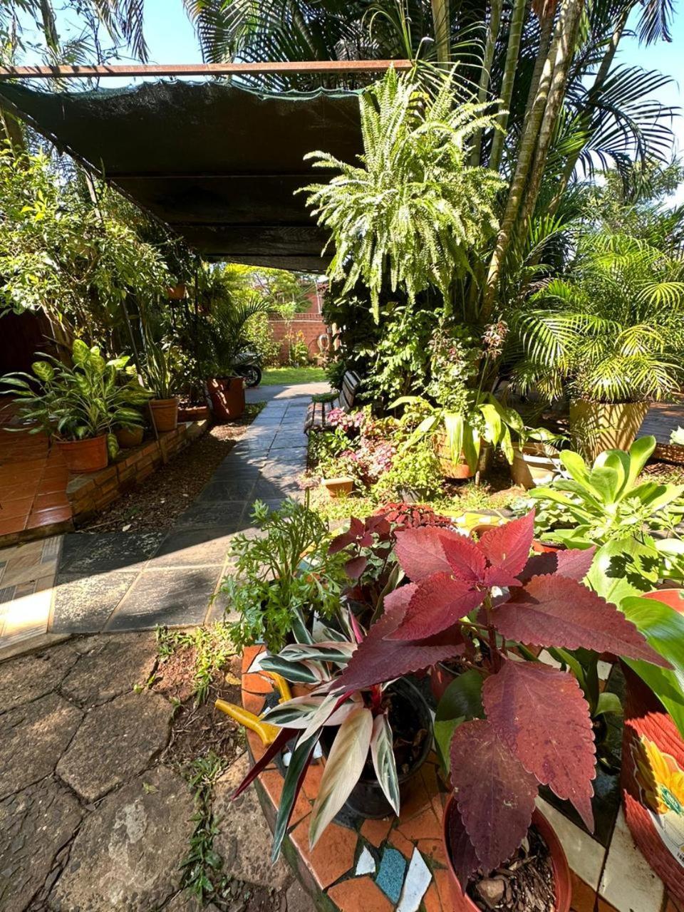 Posada Portal Del Iguazu Puerto Iguazú Buitenkant foto